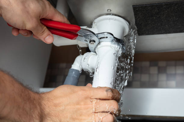 Best Carpet water damage restoration  in Temperance, MI