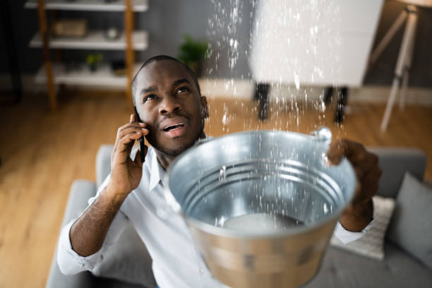 Best Ceiling water damage repair  in Temperance, MI