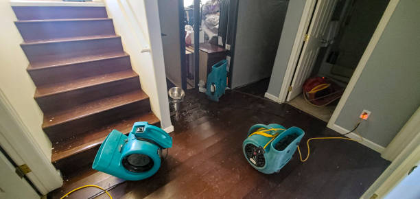 Best Water damage restoration near me  in Temperance, MI