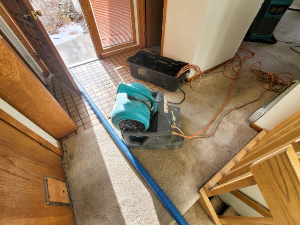 Best Carpet water damage restoration  in Temperance, MI