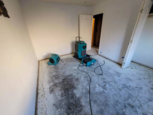 Best Sewage cleanup and water damage restoration  in Temperance, MI