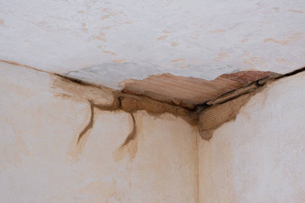 Water damage restoration process in Temperance, MI