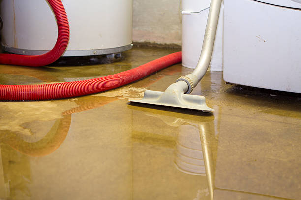 Best 24-hour water damage restoration  in Temperance, MI