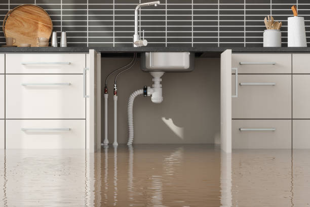 Best Water damage contractors near me  in Temperance, MI