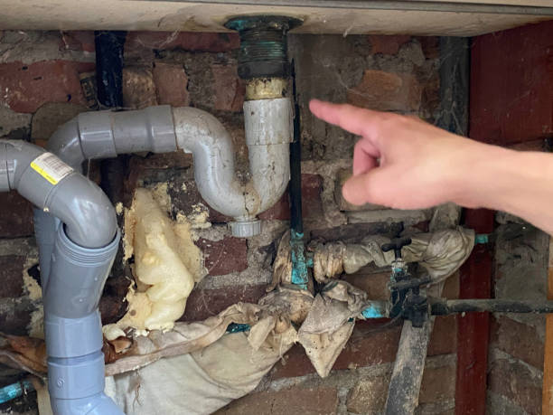 Best Water damage restoration near me  in Temperance, MI