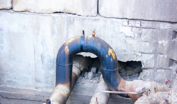 Best Basement water damage restoration  in Temperance, MI
