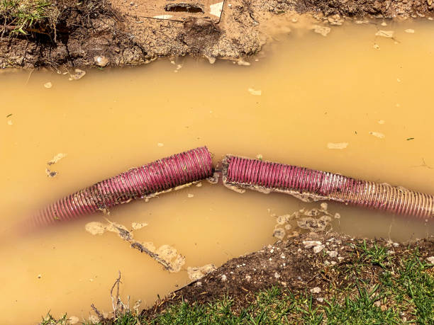 Best Water damage restoration process  in Temperance, MI