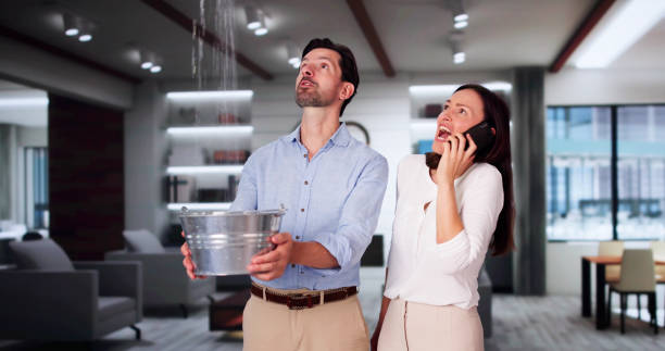 Best Local water damage restoration  in Temperance, MI