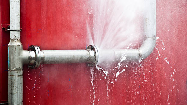 Best Fire Damage Restoration  in Temperance, MI